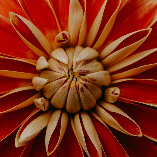 Photo Erik Andres Reynoso