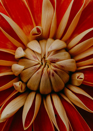 Photo Erik Andres Reynoso