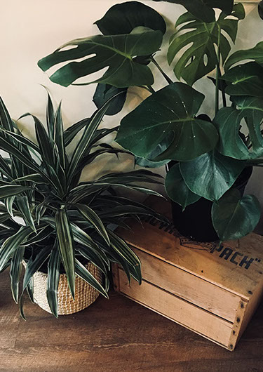 Photo Lauren Klassen