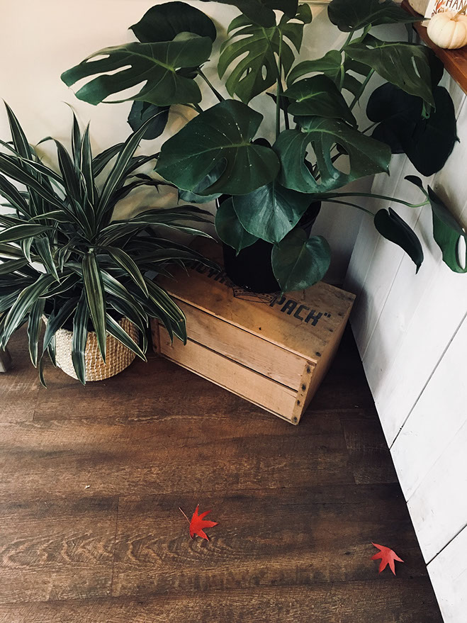 Photo Lauren Klassen