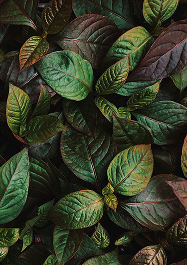 Photo Lauren Klassen